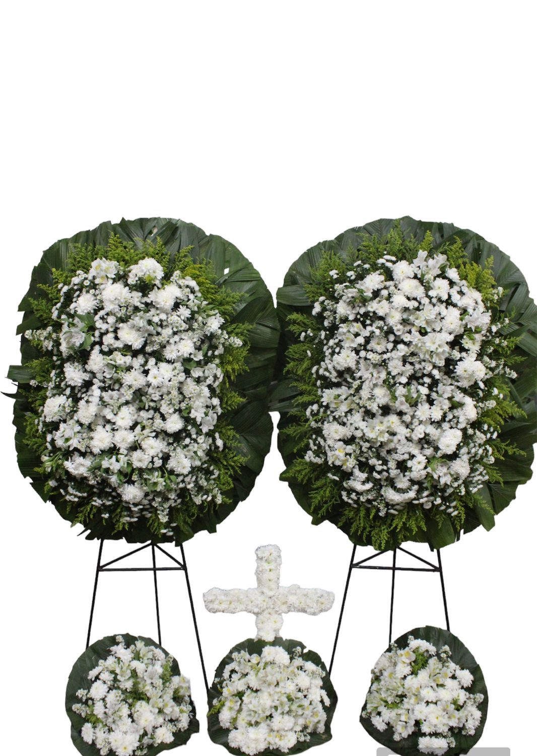 Coroa em Conjunto A02