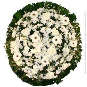 Coroa Individual 2