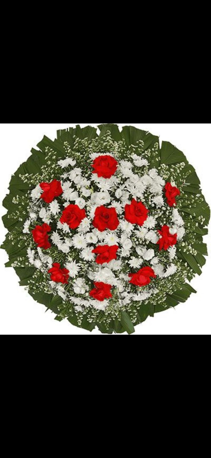 Coroa Individual 6